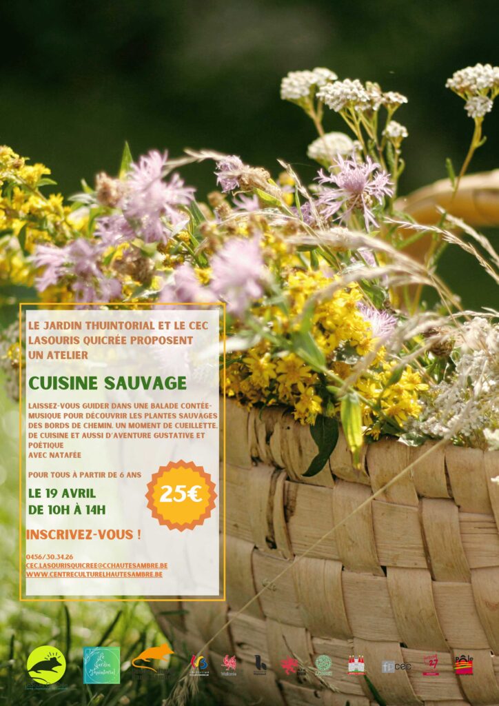 Cuisine Sauvage à Thuin