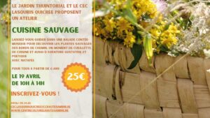 Cuisine Sauvage à Thuin